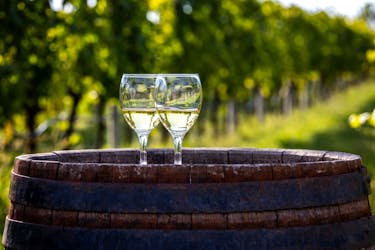 Croatian Vineyard Tour with Wine Tasting & Barbecue